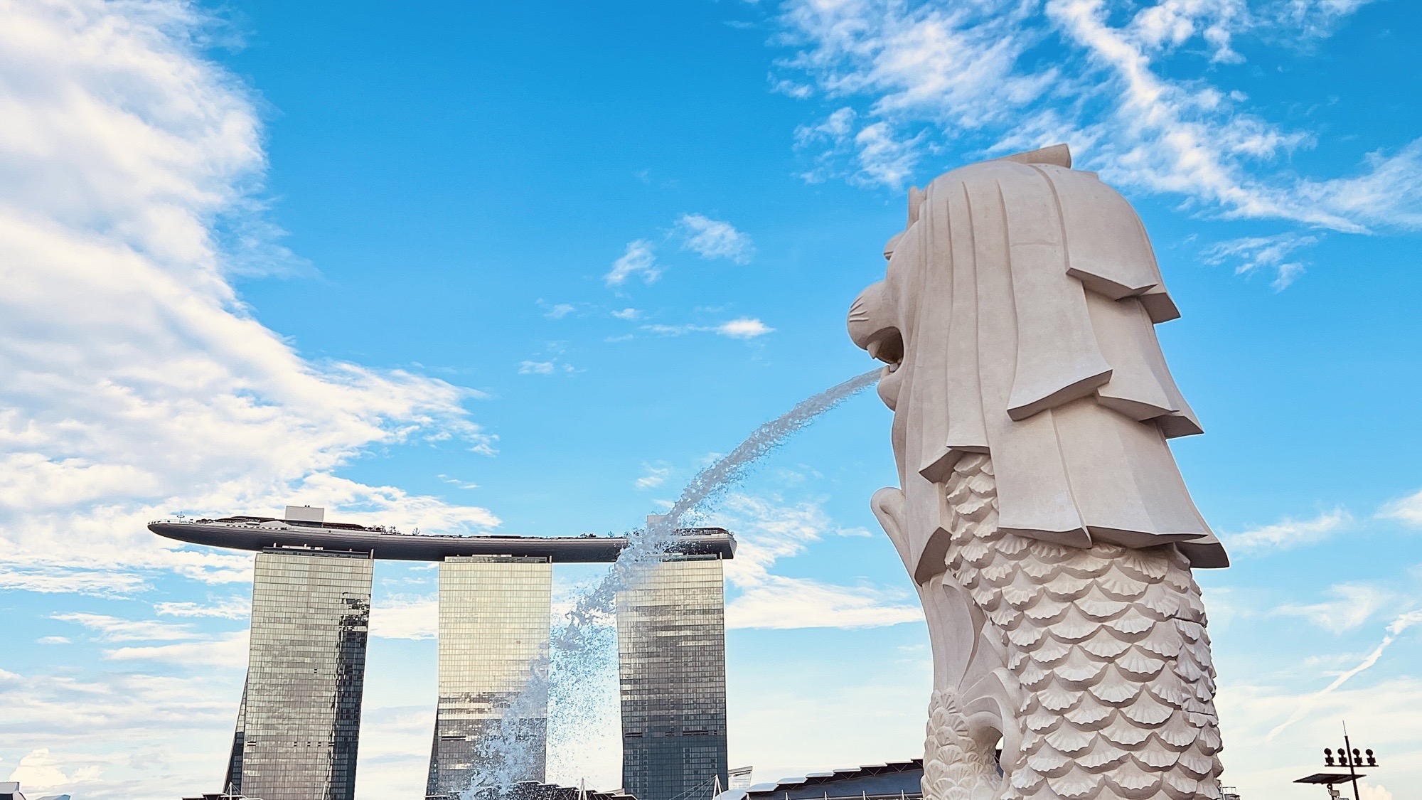 Tianjiao Company's Singapore-Malaysia Trip: Etching Joyful Memories in A Multicultural Tapestry
