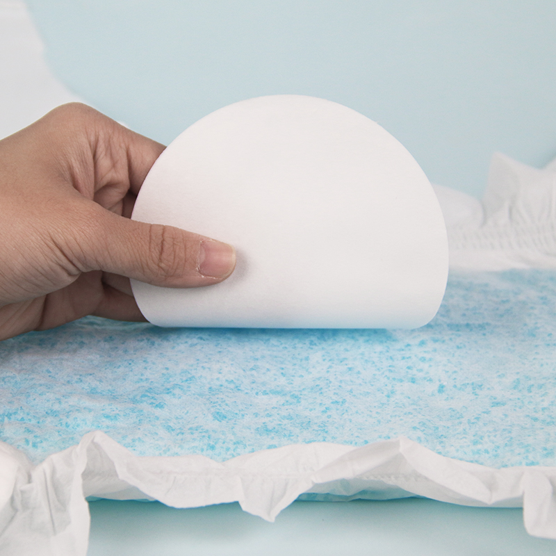 Eco-Friendly Organic Disposable Adult Diapers - Medicare Approved for Daily Use